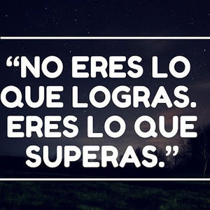 Meet your Posher, Empresas